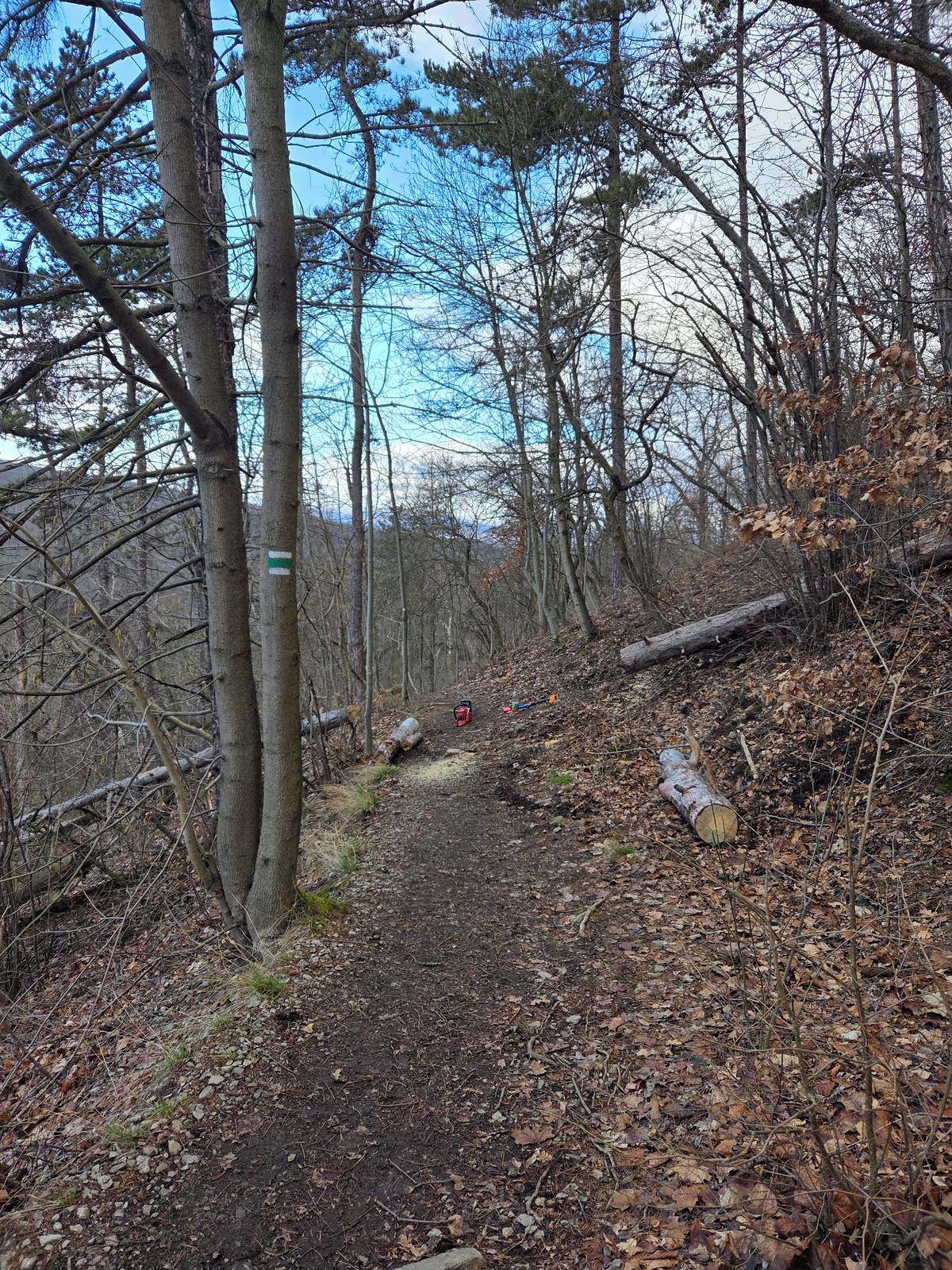Popadané stromy byly z cesty na Bořeň odstraněny.