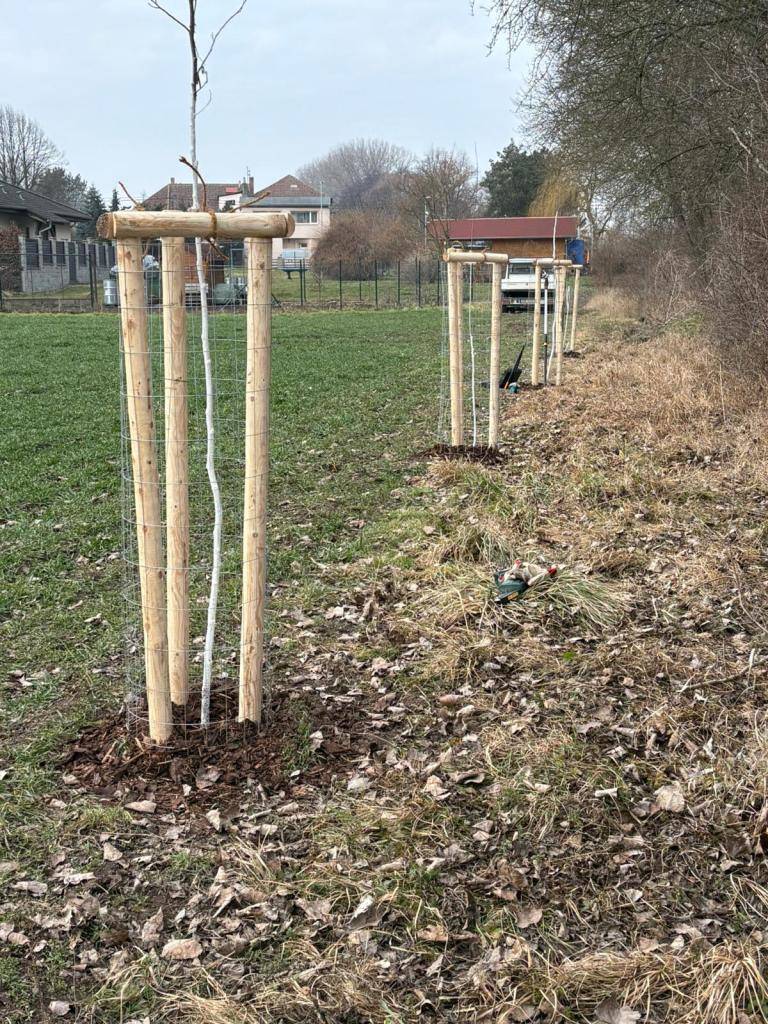 Z příspěvku Středočeského kraje byly dosázeny ovocné stromy u silnice k Luníkovu,u cesty k rybníku Hobšovice a u Křovic. Nové výsadby olší,lip a vrb jsou podél cesty u Zlonického potoka za hřištěm u Skůr.Švestky jsou vysázeny podél cesty k Cikáňáku přes Bakovský potok směr Ješín (dotace z AOPK ČR).