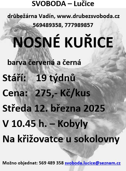 V naší obci proběhne prodej kuřic