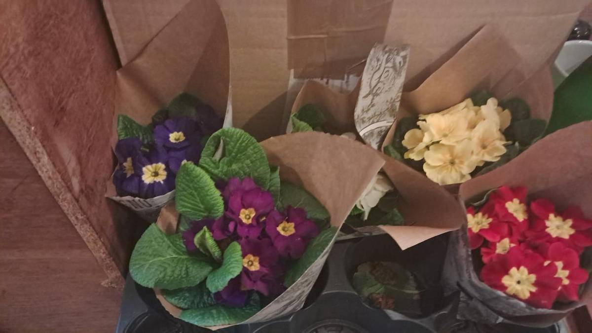 TJ Sokol Horní Kamenice Sokolská tancovačka 15.02.2024