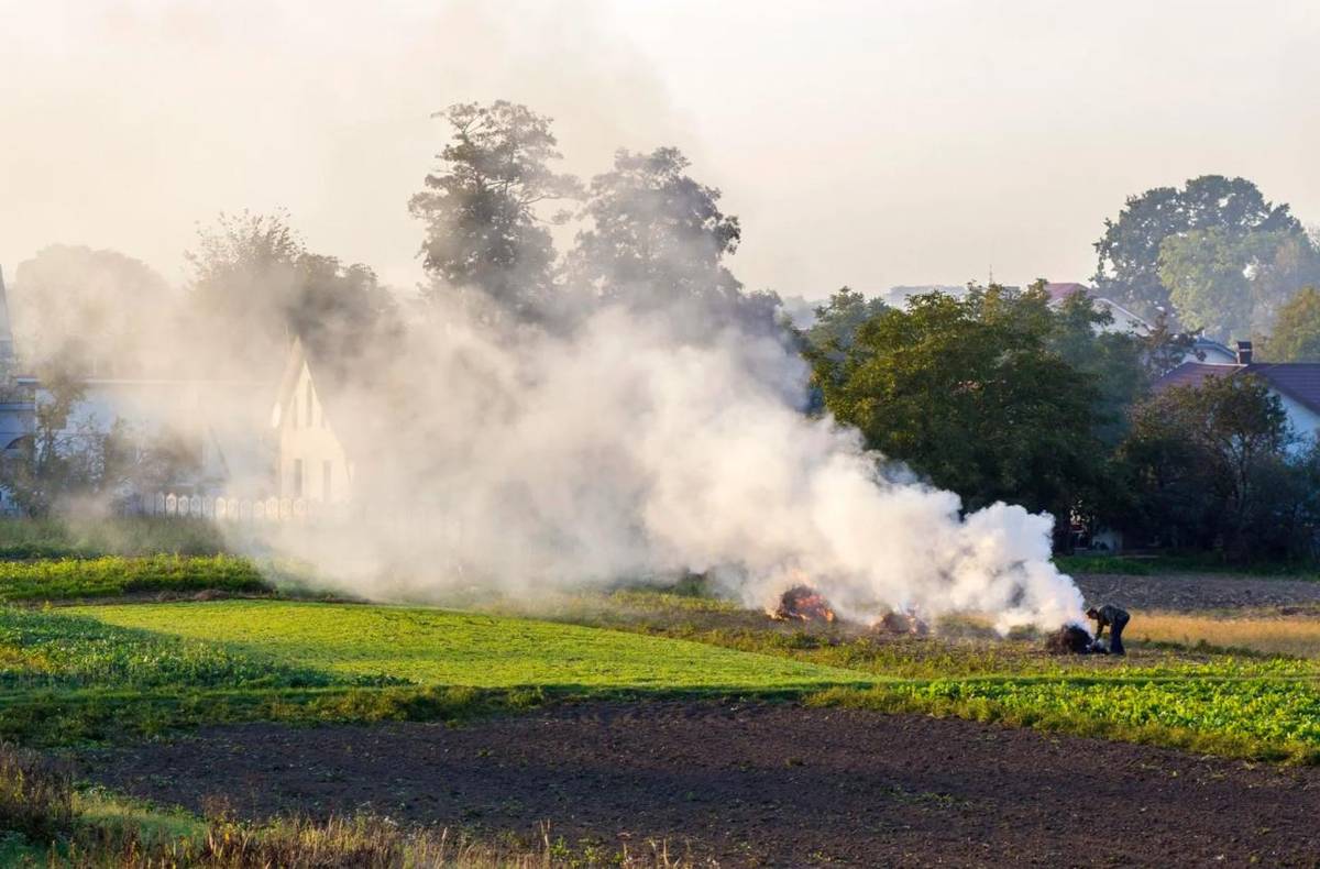 P O Z O R -  na spalování shrabaného listí a trávy na zahradě, případně další biomasu,je od začátku března definitivně zakázáno