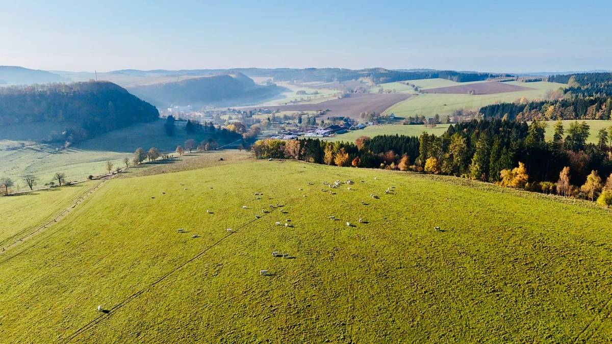 Asi víte, že v Horním Adršpachu máme statek. A v něm pevnou rukou vede malou partu chlapů a větší partu krav Leontýna Bláhová. A právě ona nás požádala, abychom zveřejnili následující skvělou nabídku. Rádi vyhovíme: "Jaro klepe na dveře i na statku, a proto bychom rádi nabídli všem místním zahrádká