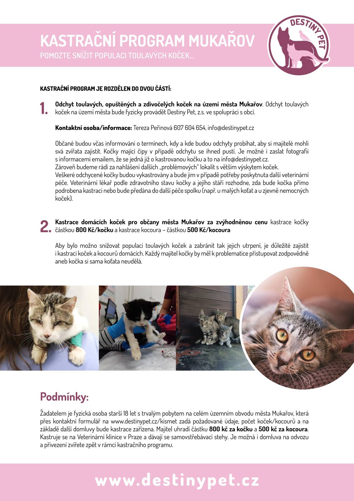 Obec Mukařov ve spolupráci s Destiny Pet, z.s. připravuje kastraci toulavých koček na území našich obcí: Mukařov, Srbín, Žernovka. V tuto chvíli mapujeme problémové lokality a budeme rádi za spolupráci s místními obyvateli. V případě, že o lokalitě s větším výskytem toulavých koček víte, prosíme o nahlášení na úřad - buď osobně, na tel.: 775 040 918, nebo mailem: obec@mukarov.cz. Ještě doplňující informace pro majitele koček (abychom nevyvovali paniku): místní obyvatelé budou včas informováni o termínech, kdy a kde budou odchyty probíhat, aby si majitelé mohli svá zvířata zajistit.  Součástí kastračního programu bude i speciální nabídka pro místní obyvatele/majitele koček: kastrace domácích koček bude nabízena za zvýhodněnou cenu, a to kastrace kočky částkou 800 Kč/kočku a kastrace kocoura – částkou 500 Kč/kocoura. O dalších krocích budeme včas informovat. Děkujeme předem za spolupráci.