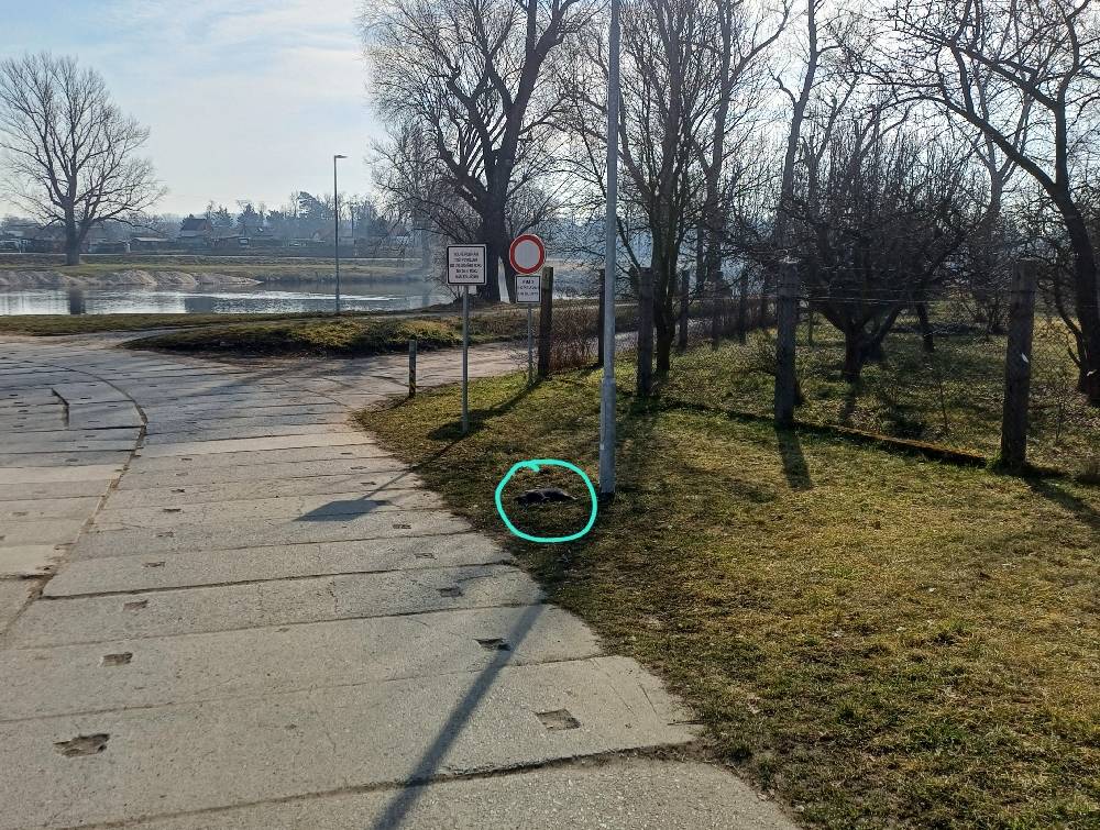 Dobrý den, byla tam ještě jedna kočička v uboženém stavu, byly odvezeny kolemjdoucí občankou na veterinu a po shledání zranění obou kočiček následně nahlášeno policii.