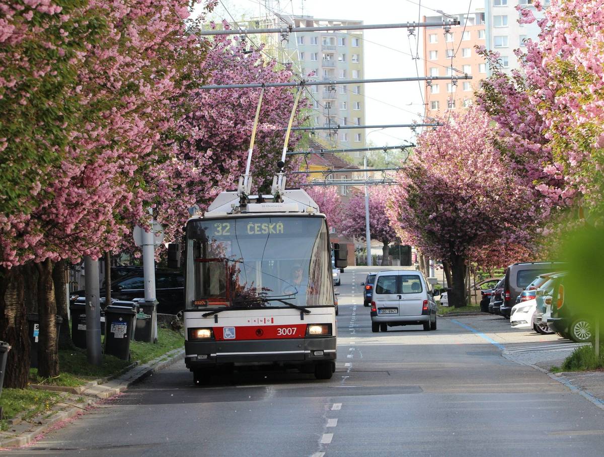 Dopravní podnik města Brna po více než čtvrtstoletí ukončil provoz trolejbusů Škoda 21Tr. Brno se stalo historicky největším provozovatelem vozů tohoto typu. „Jednadvacítky“ se staly symbolem modernizace městské dopravy v Brně, protože byly prvními nízkopodlažními trolejbusy ve flotile DPMB. Dopravní nadšenci se s posledními trolejbusy budou moci naposledy svézt během rozlučkových jízd.   Rozloučení s trolejbusy 21Tr Kdy: sobota 15. března 2025 od 10 do 16 hodin v půlhodinových intervalech Trasa: Česká – Slovanské náměstí – Přívrat – Anthropos – Čtvrtě – Kohoutovice, hájenka a zpět Vozy: trojici trolejbusů 21Tr doplní retro trolejbus typu 22Tr Závěr akce: po 16. hodině se trolejbusy přesunou k nemocnici Bohunice, kde proběhne cca od 16:40 závěrečné rozloučení a focení a pak společná jízda přes centrum do vozovny Komín   Jízdenky si cestující budou moci koupit přímo na místě při nástupu do vozu. Průvodčí nabídnou jednorázovou jízdenku za 50 Kč nebo celodenní za 200 Kč. Děti do dne 10. narozenin jízdné neplatí. Veškerý výtěžek DPMB věnuje brněnské charitativní organizaci Velvet Smile, která pomáhá rodinám s nemocnými a hendikepovanými dětmi a obětem domácího násilí.
