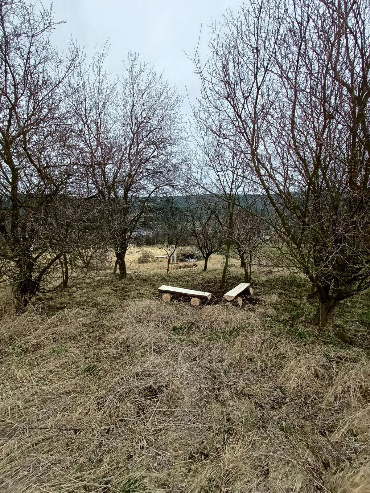 Dobrá věc se podařila. Dnes dobrovolníci společně s odborníky zasadili stromořadí a sad u nás ve Zbraslavi a tak jsme začali vracet stromy do krajiny. Děkujeme všem za dobrou práci a stromy ať nám rostou.