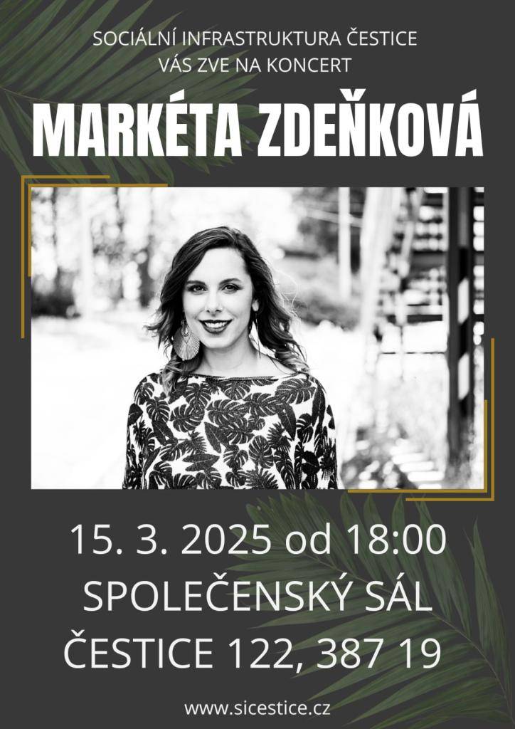 Koncert v Domě pro seniory v Česticích