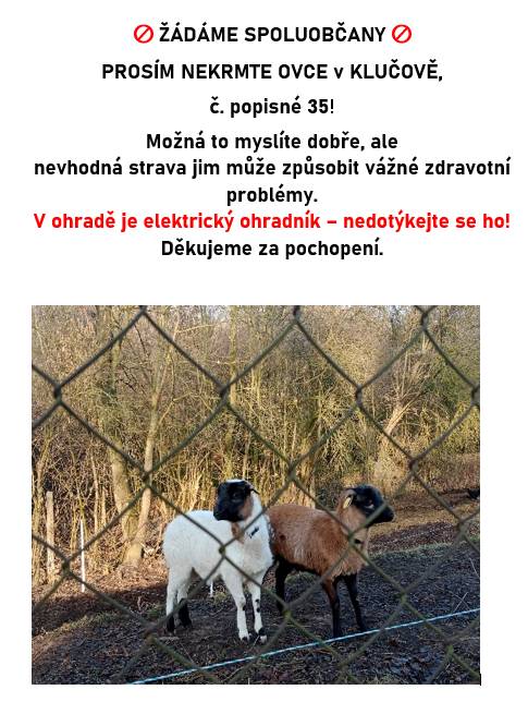 ŽÁDÁME SPOLUOBČANY!!!  PROSÍM NEKRMTE OVCE V KLUČOVĚ, ČÍSLO POPISNÉ 35 !!!  Děkujeme za pochopení.