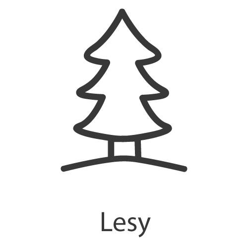 Pozvánka ke zkouškám znalosti hub v roce 2025