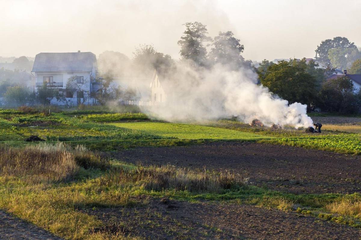 Od začátku března musí zahrádkáři dodržovat novelu zákona o ovzduší, která v kombinaci se zákonem o odpadech zakazuje pálení trávy nebo listí.