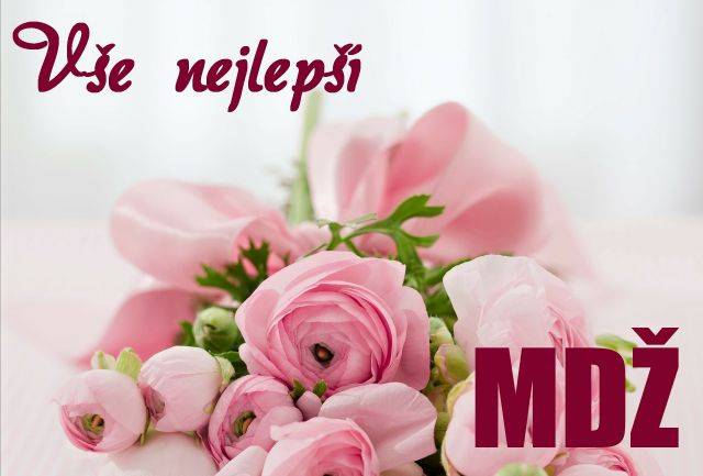 Projektový týden věnovaný oslavám Mezinárodního dne že