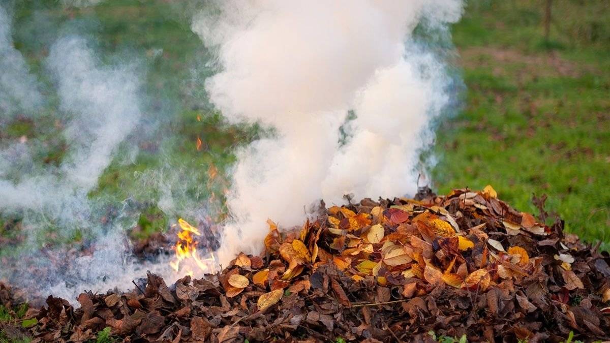 OZNÁMENÍ OBECNÍHO ÚŘADU Zákaz pálení trávy a rostlinného materiálu   Vážení občané,   dovolujeme si vás informovat, že na základě novely zákona č. 201/2012 Sb., o ochraně ovzduší, platí od 1. března 2025 zákaz spalování trávy, listí, větví a dalšího rostlinného materiálu. Cílem této úpravy je zlepšení kvality ovzduší a ochrana zdraví obyvatel.   Porušení tohoto zákazu může být sankcionováno pokutou až do výše 50 000 Kč.   Prosíme vás, abyste pro likvidaci rostlinného odpadu využívali ekologické způsoby, jako je:                •             Kompostování                •             Štěpkování                •             Odvoz do kontejnerů    Děkujeme vám za pochopení a spolupráci.