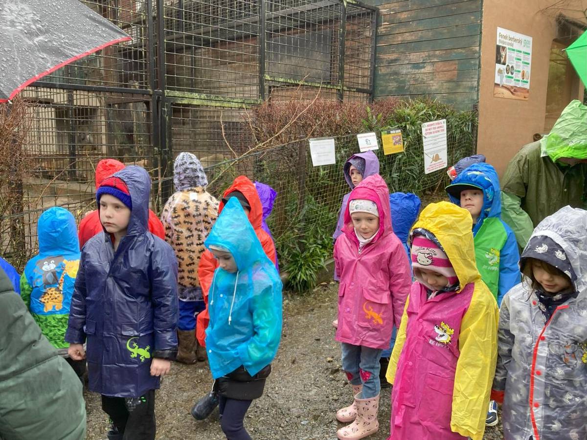 Výlet do ZOO Dvorec + Borovanský Mlýn.