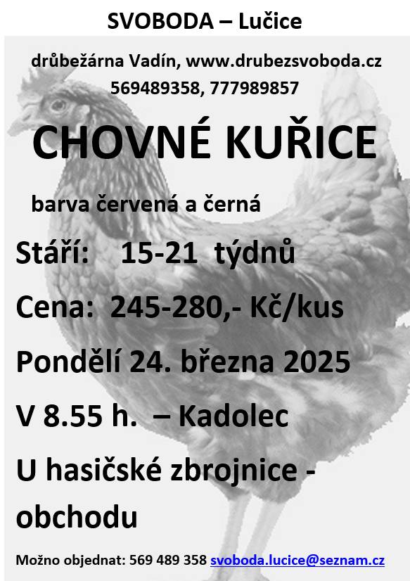 Firma Svoboda Lučice bude prodávat v pondělí 24. března 2025 v 8.55 hodin u hasičské zbrojnice - obchodu.           nosné kuřice, stáří 15 - 21 týdnů, cena 245 - 280,- Kč/kus  Objednání je možné na  tel. 569 489 358 nebo emailem svoboda.lucice@seznam.cz