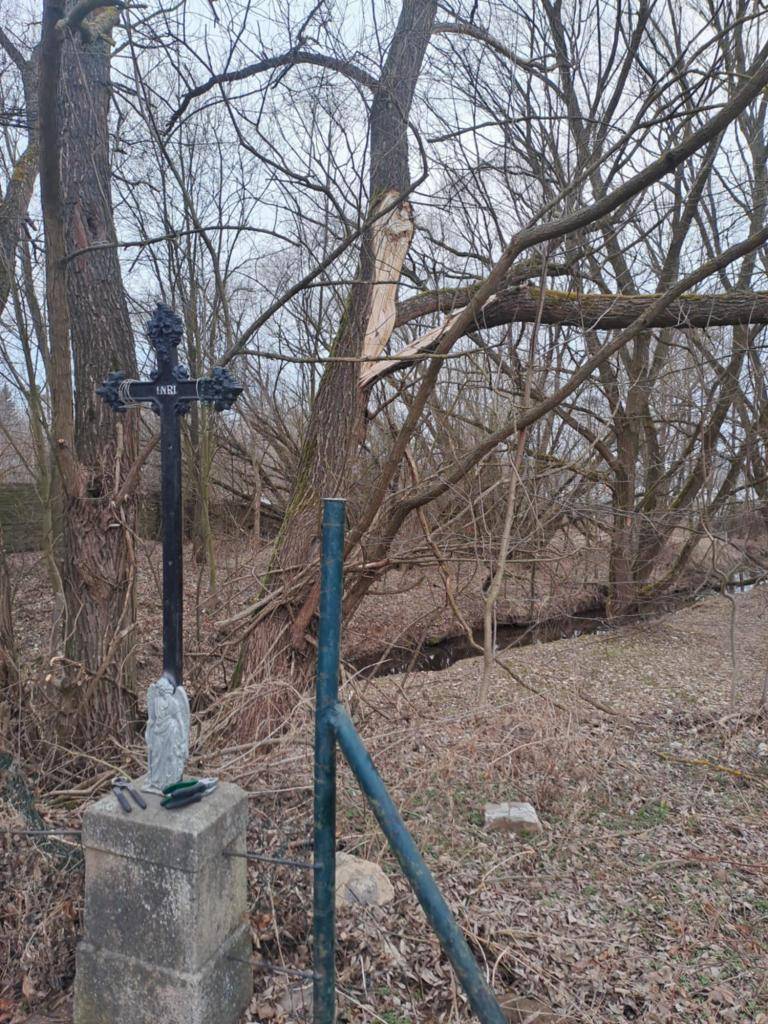 Za mostem na Kozičín byly v blízkosti Litavky stromy, které se lámaly a zasahovaly do silnice a el. vedení. Během jarních prázdnin došlo k jejich pokácení. V určitou chvíli bylo nutné dopravu odklonit okolo bývalého ZD. Ale bez techniky by se kácení a odvoz udělat nedaly.