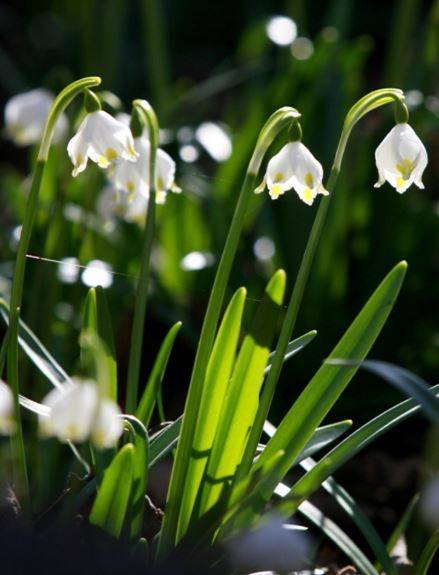Až se zima zeptá, co jsme dělali na jaře... - no, uklízeli jsme po ní.