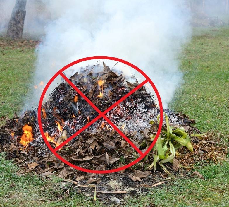 Informace o novele zákona č. 201/2012 Sb., o ochraně ovzduší, která zakazuje pálení trávy, listí a další biomasy na otevřeném ohni za účelem jejich likvidace.