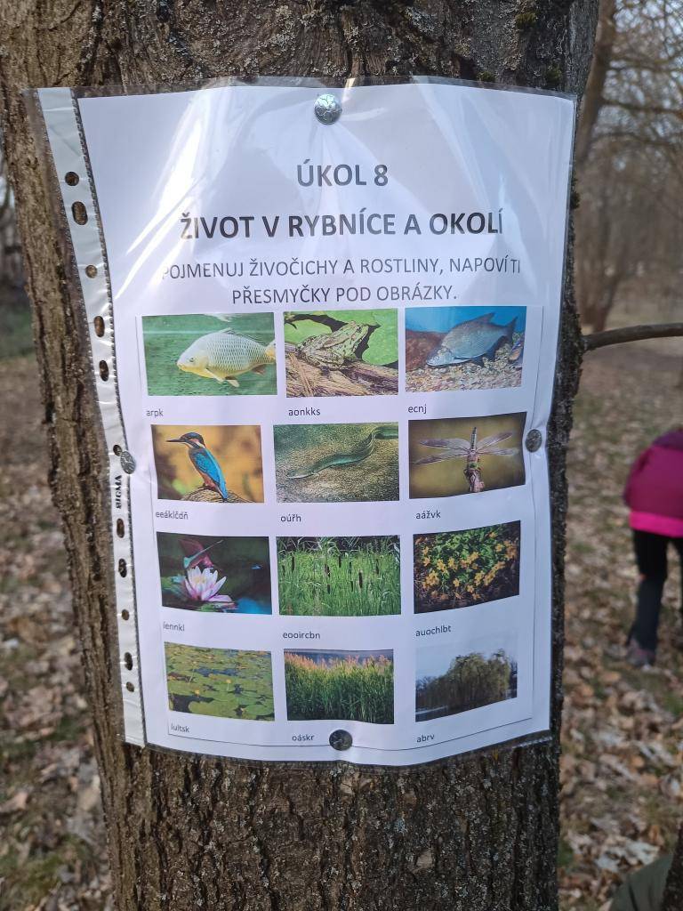 V pátek 21.3.2025 jsme se s dětmi opět setkali na Noci s Andersenem. Děti si užily stopovanou, našli poklad, shlédly loutkové divadlo, prohlédly si knihovnu, seznámily se s Jiřím Žáčkem a nemohlo chybět ani čtení. Těšíme se za rok opět na viděnou.