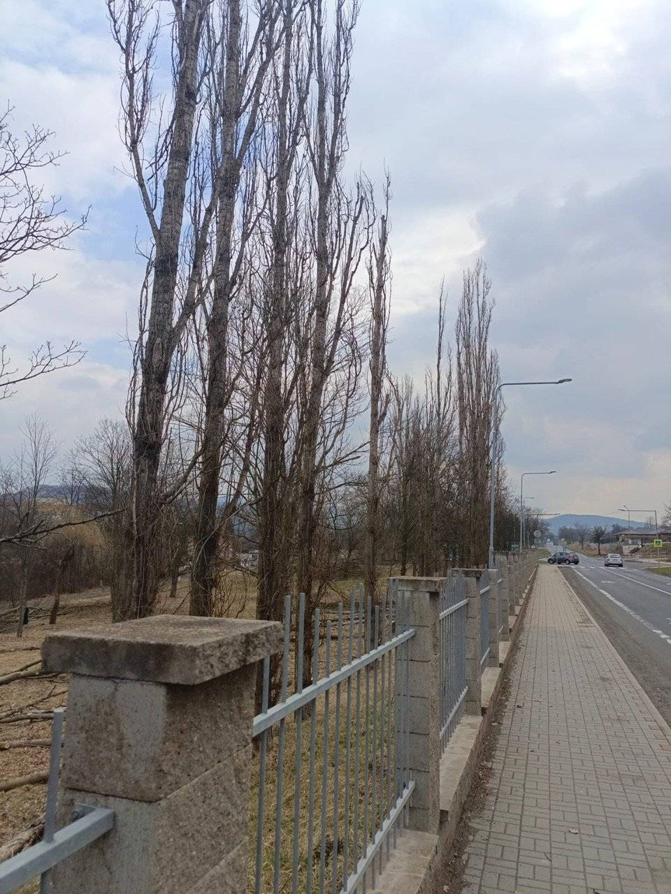 Město Bílina v minulém roce vytipovalo několik vhodných míst pro umístění malé fotovoltaické elektrárny (FVE). Kromě střechy na Domě dětí a mládeže, střech ZŠ Za Chlumem a ZŠ Aléská, také plochy v areálu nemocnice. Zde byl hlavní důvod smysluplné využití takto vyrobené energie přímo nemocnicí. Ověřovalo se několik variant umístění, kdy jako první se prověřovalo rovněž umístění na střeše nemocnice. Vzhledem k nevhodné struktuře střešních konstrukcí, které byly rekonstruovány kolem roku 2010, není možné elektrárnu na střechy umístit. Následně se prověřovalo několik variant umístění na okraji areálu polikliniky. Výsledný návrh na umístění podél jižního plotu se však aktuálně ukazuje jako ne úplně vhodné z důvodu velké vzdálenosti od trafostanice a s tím spojených vysokých nákladů na výstavbu a rovněž zbytečně vysokým ztrátám vyrobené elektřiny. Již několik let město jedná s potenciálními zájemci (investory) pro vybudování „Centra služeb pro seniory“, v současné době se objevili noví vážní zájemci. Pro vybudování tohoto centra je zapotřebí vyčlenit v areálu polikliniky cca 5 000 m2 nejen pro výstavbu samotné budovy, ale i zahrady a dalších návazných ploch pro trávení volného času ubytovaných seniorů. Vzhledem ke zdravotním omezením seniorů je nutné, aby zahrada a další související plochy byly ideálně v rovině. To však znamenalo přehodnotit původní umístění FVE podél jižního plotu areálu. Město rovněž vnímá potřebu zachovat část volných prostor pro budoucí rozvoj vlastní nemocnice, kdy v současné době již máme studii nové přístavby lůžkových oddělení LDN a sociálně zdravotních lůžek v západní části areálu. Na základě výše uvedených skutečností bylo vybráno finální umístění malé FVE podél plotu a chodníku ulice Pražská v blízkosti stávající trafostanice, kde s ohledem na množství inženýrských sítí není jiné využití možné a kde bude rovněž provoz FVE nejefektivnější. Z tohoto důvodu dojde v nejbližší době k prořezu a pokácení stromů v této části  areálu (zejména topolů, které jsou dlouhodobě ve špatném stavu a bez jejich pokácení hrozí újma na zdraví zde pohybujících se osob či na majetku města – zejména pak trafostanice a čističky vody, které jsou nezbytné pro provoz celé polikliniky).
