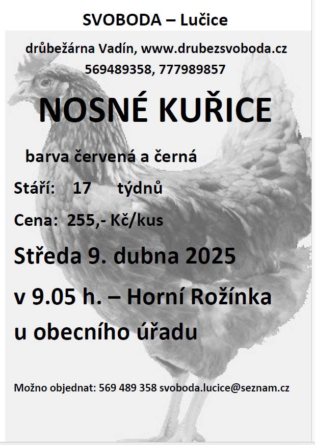 Firma Svoboda Lučice bude prodávat ve středu 9. dubna 2025 v 9.05 hodin u OÚ               nosné kuřice, stáří 17 týdnů, cena 255,- Kč/kus    Objednání je možné na  tel. 569 489 358 nebo emailem svoboda.lucice@seznam.cz