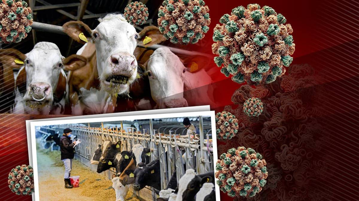 INFORMÁCIA PRE CHOVATEĽOV