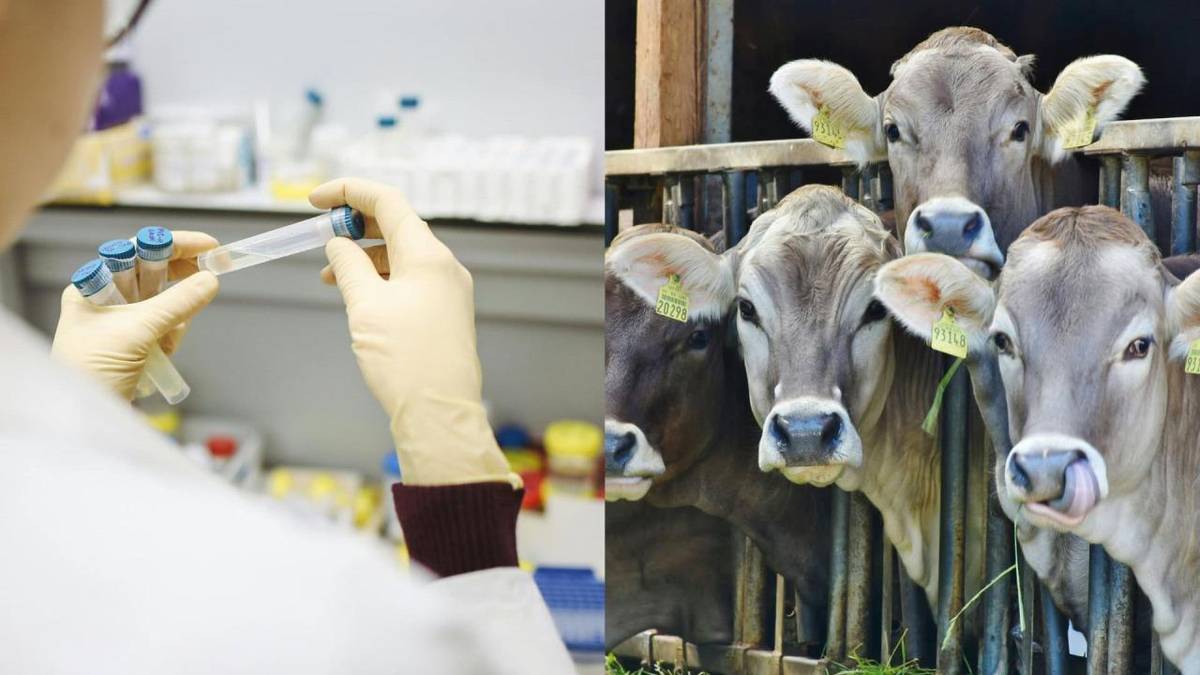 Mimoriadne núdzové opatrenia