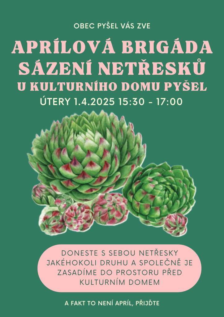 Přijďte v úterý 1.4. mezi 15:30 a 17:00 zasadit netřesky do prostranství před kulturním domem. Netřesky jakéhokoli druhu doneste s sebou. Bez netřesku vás tam nepustíme :-)