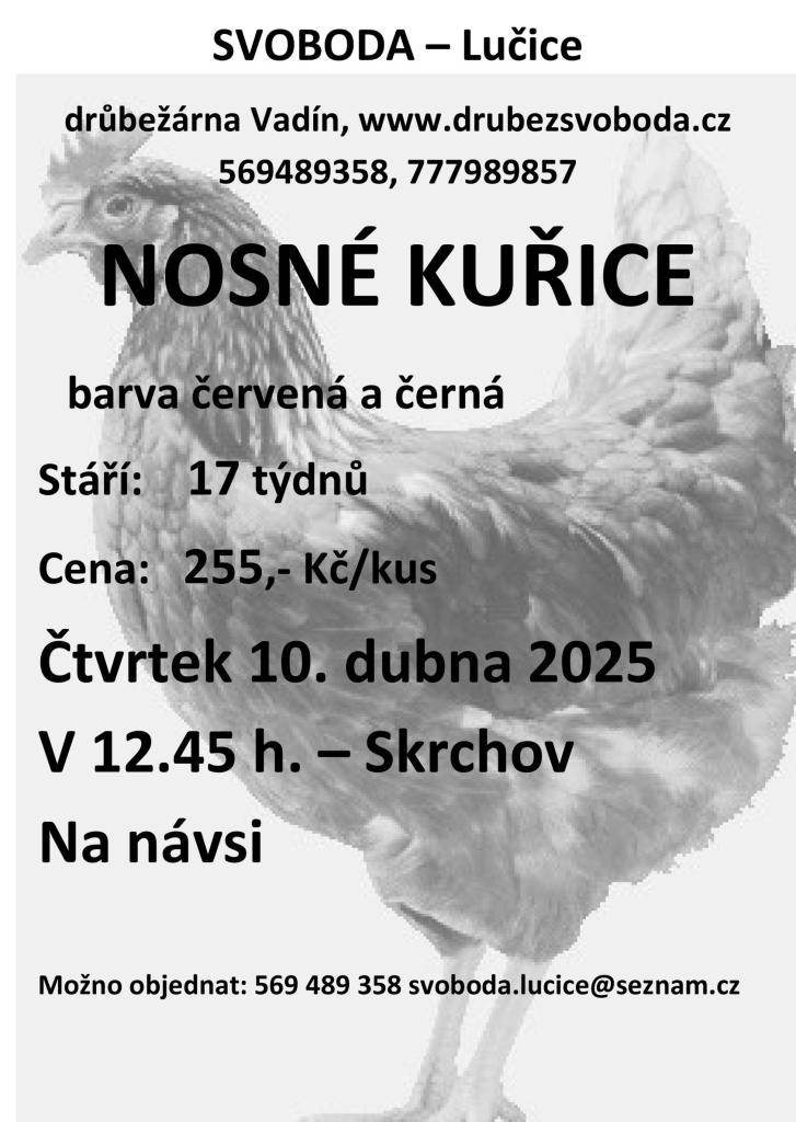 Prodej nosných kuřic