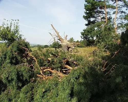 Ve čtvrtek se nad Stradonicemi přehnala vichřice.