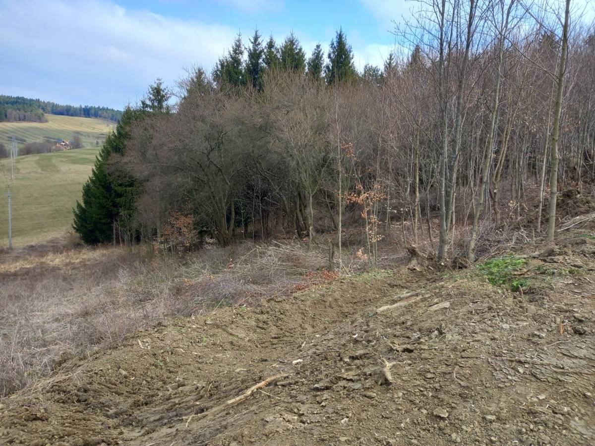 Během prvních jarních dní se v naší obci intenzivně pracuje na opravě a údržbě lesních cest. Nejvýrazněji je toto vidět v lokalitě Výpusta, kde nově vznikají odvodňovací rýhy a retenční nádrže.