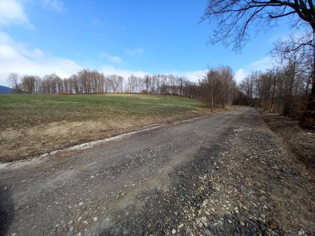 Již brzy se obyvatelé pasek dočkají zpevnění a nového povrchu části přístupové cesty vedoucí od rekreačního zařízení Ploština k  Sochorom.