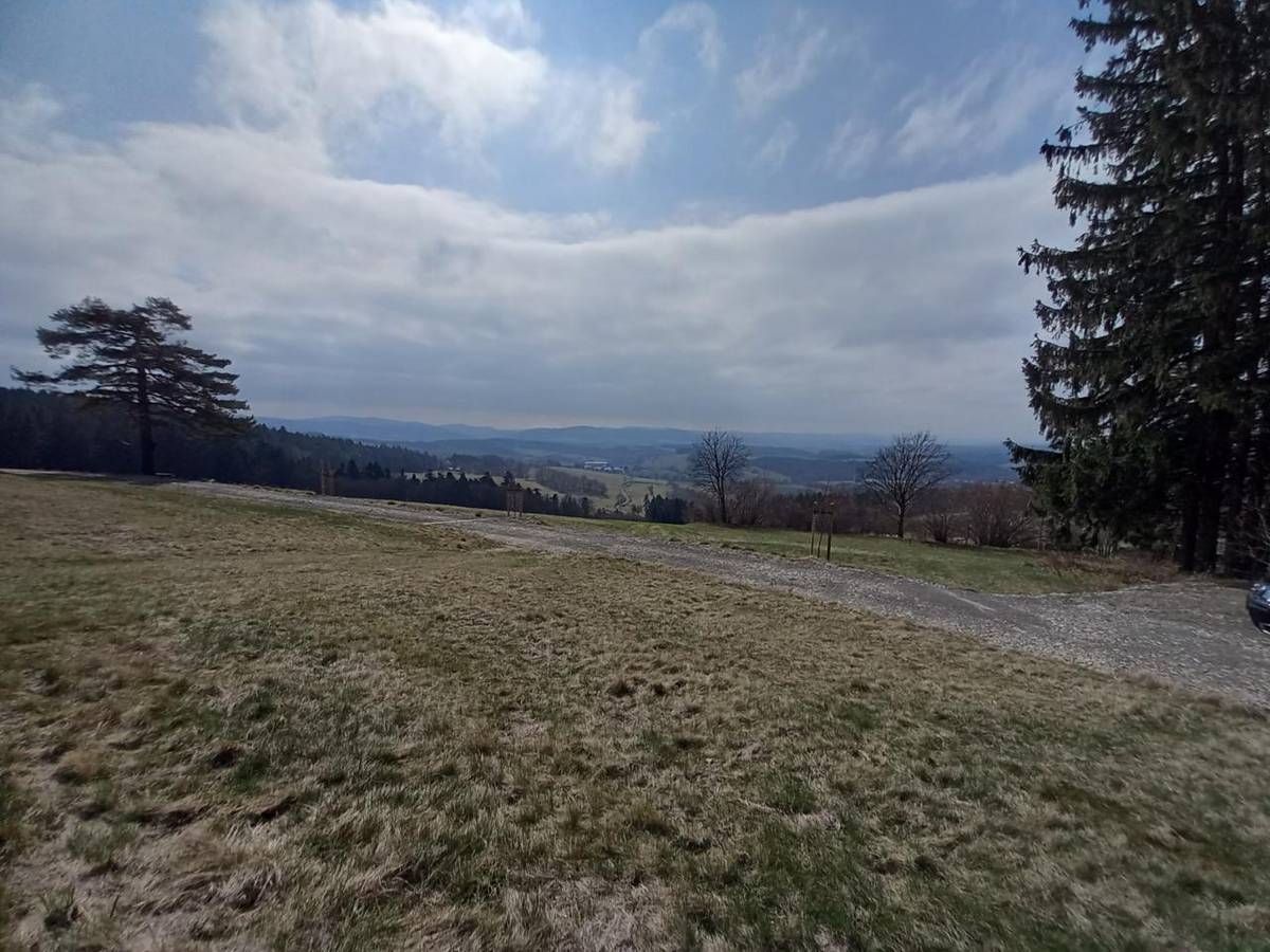 Podél cest obec vysadila nové stromy. Celkem se jednalo o 10 lip, 5 tradičních odrůd jabloní a 5 tradičních odrůd hrušní. Nejvíce jich najdete kolem vyčištěné cesty k Sochorom (k borovici).