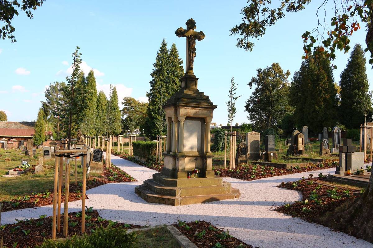 Vážení občané, od 1.4. do 15. 4. bude na nové části hřbitova probíhat kácení dřevin. Dbejte proto při návštěvě zvýšené opatrnosti. V následujících měsících budeme dále realizovat plánované komplexní opravy nového hřbitova. Děkujeme za spolupráci a trpělivost. Tým Úřadu Městyse Mladé Buky