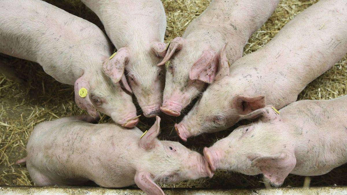 Uznesenie sekcie krízového riadenia MV SR