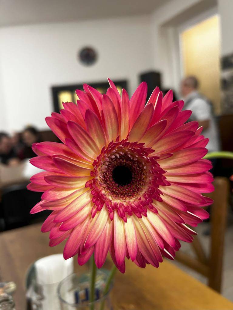 Tradiční akce pro ženy a seniory