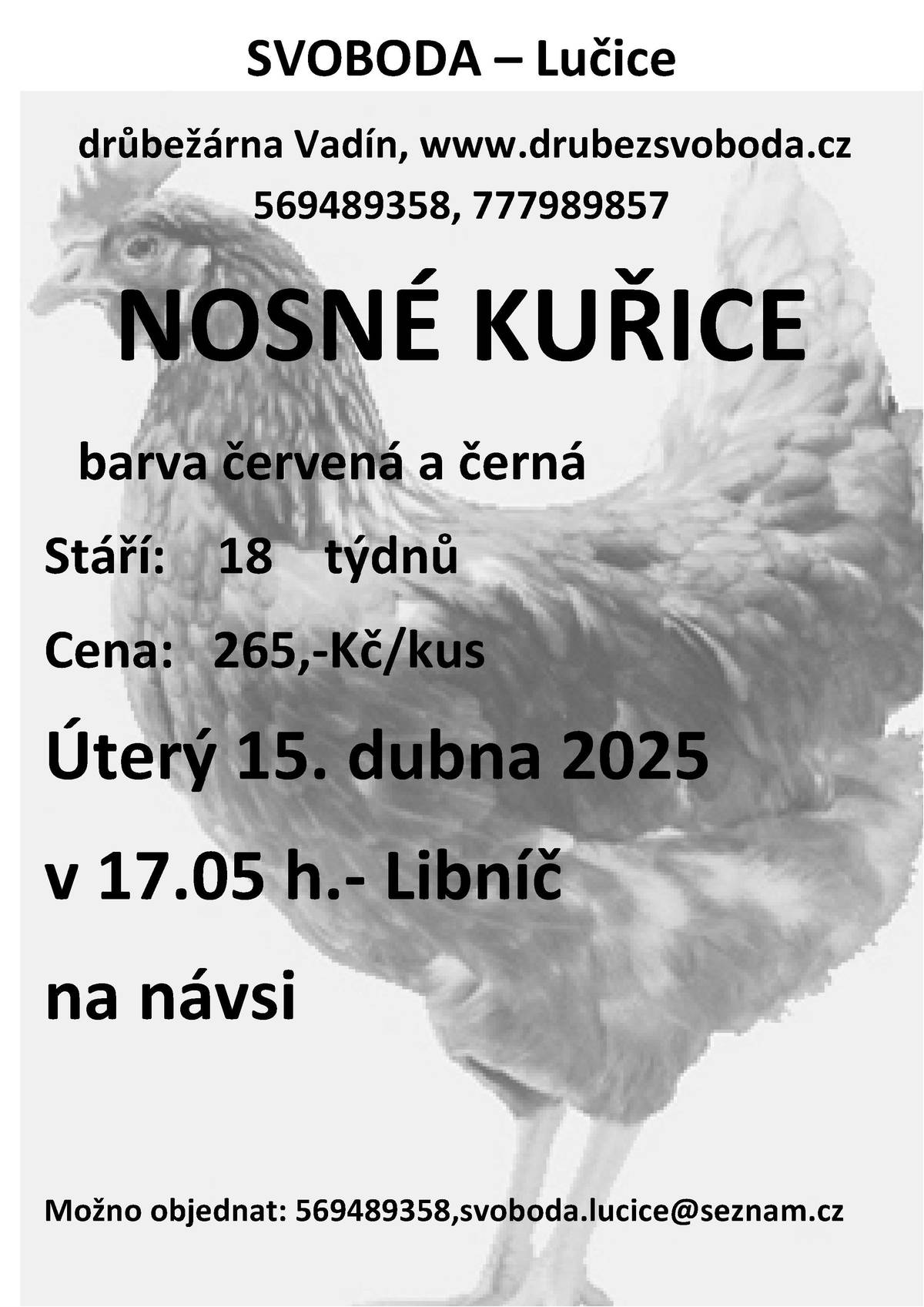 15.4.2025 proběhne prodej nosných kuřic v Libníči na návsi od 17:05 h.
