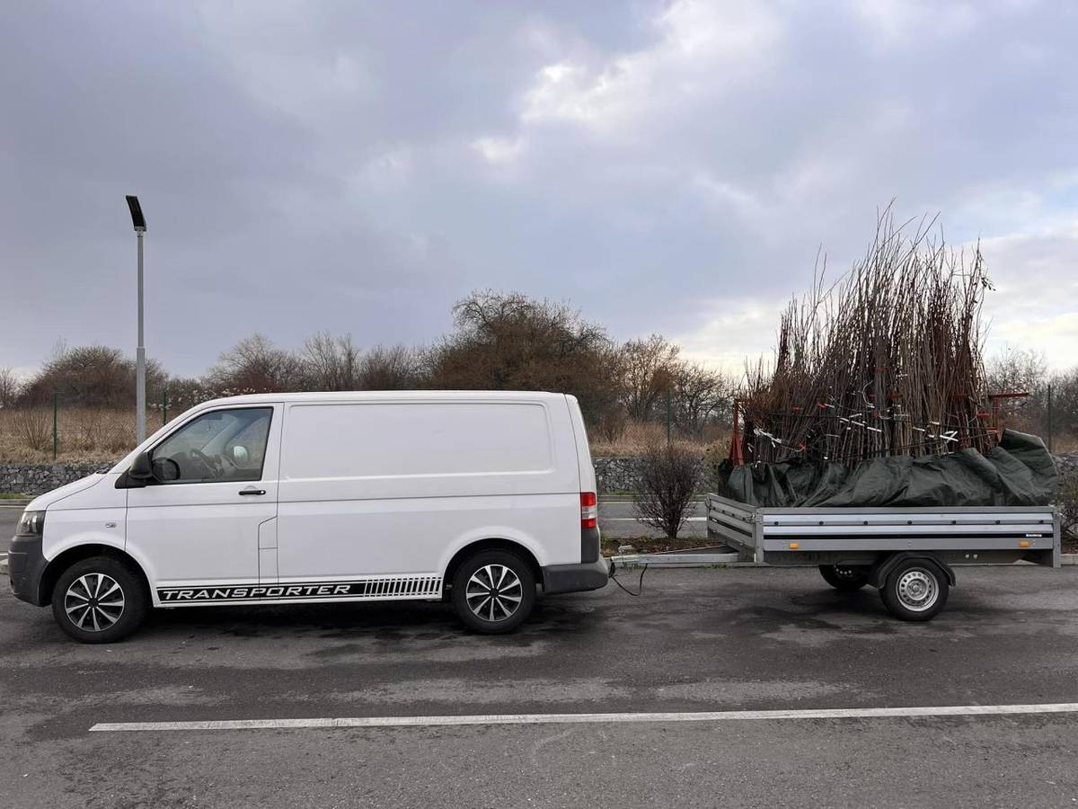 Český rodinný podnik Z Přírody přijede prodávat ovocné stromky a keře prémiové kvality za velice příznivé ceny. Všechny stromky jsou dle informace prodejce krásně živé a vhodné pro jarní výsadbu.