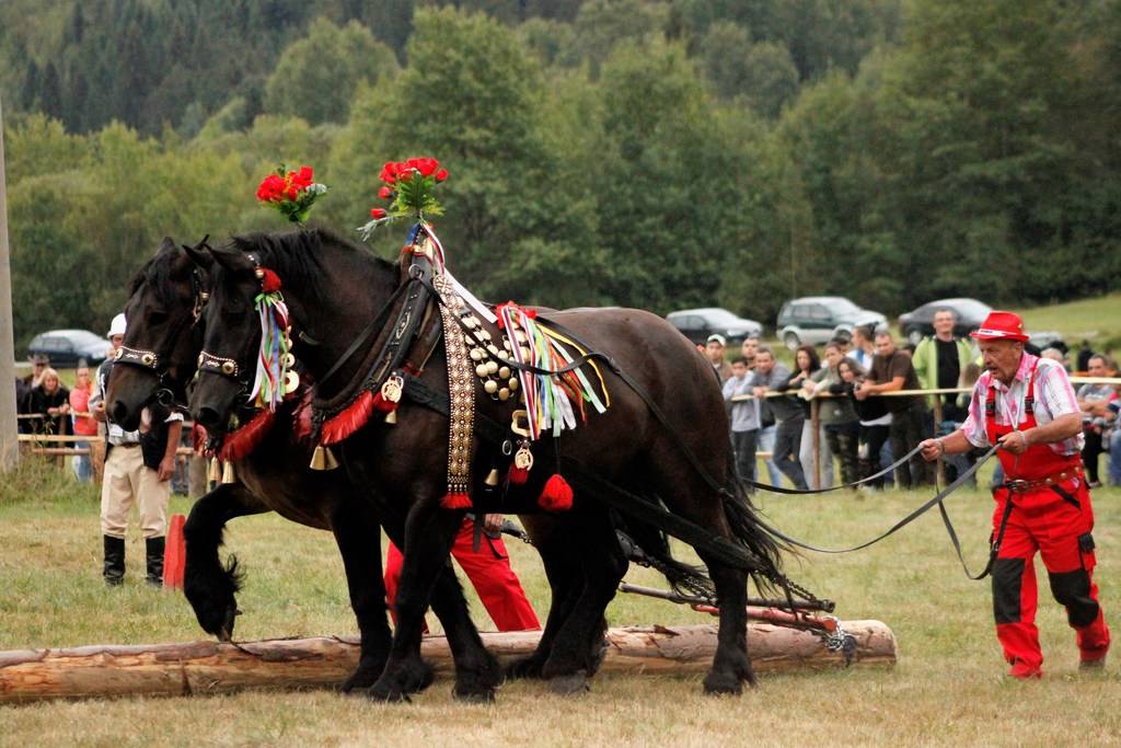 Furmanské preteky 2017