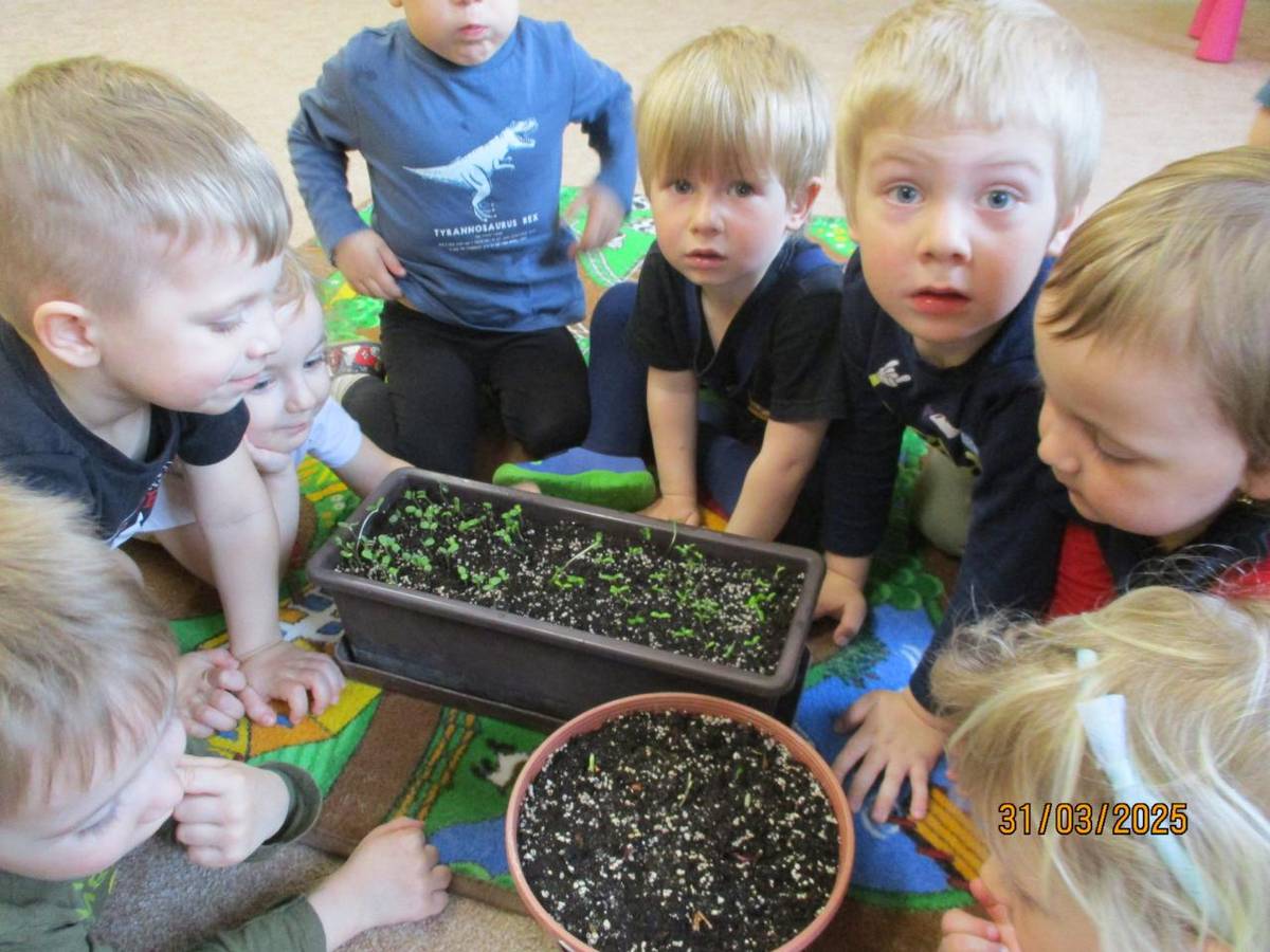 Vstávej semínko...