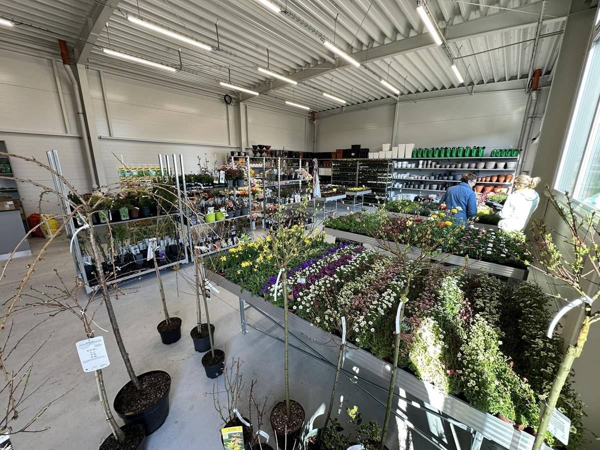 Stavebniny a vinařské potřeby Hromek Dolní Bojanovice oznamuje, že rozšířili nabídku o zahradnictví se sortimentem od Zahradnictví Malinkovič. Nabízíme ovocné stromky, okrasné dřeviny, trvalky, rostliny pro jarní výsadbu, semena.