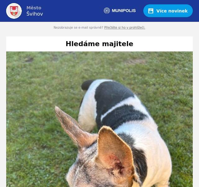 V pátek 4. dubna byl v Nádražní ulici nalezen volně pobíhající pes bez obojku. Majitel ať se přihlásí na tel. čísle 608 346 740.