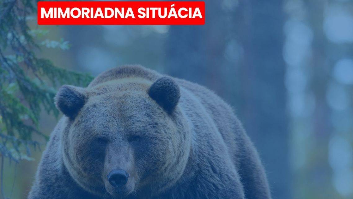 Mimoriadna situácia