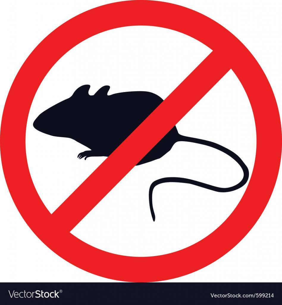 ‼ RÚVZ Dunajská Streda - Výzva na vykonanie jarnej deratizácie škodcov v období od 07.04.2025 do 09.05.2025. ‼