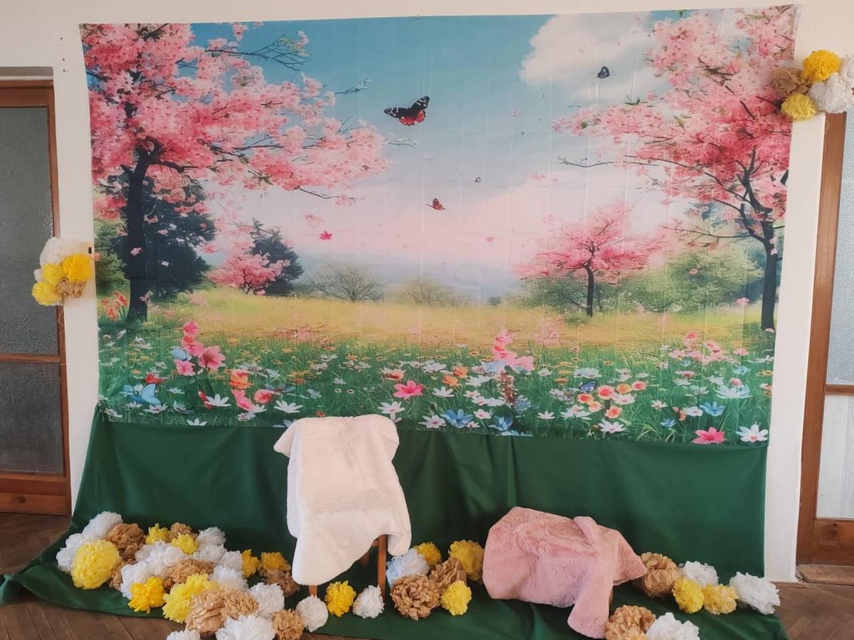 V neděli 16.3. to vypadalo v kulturním domě jako na jaře. Konal se totiž Jarní karneval. Foto koutek jako rozkvetlá květinová louka, všude poletovali včeličky, motýlci, broučci. Úplné jaro.