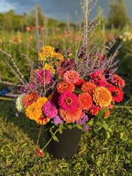 Pro květiny z jejího pole si do kveetkomatu jezdí zákazníci až z Brna.