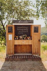 S nápadem vyrobit kveetkomat ze staré šatní skříně přišel její kamarád.