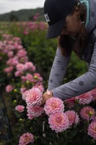 Pro Slávku je práce v přírodě hlavně odpočinek, při kterém vypne hlavu.
