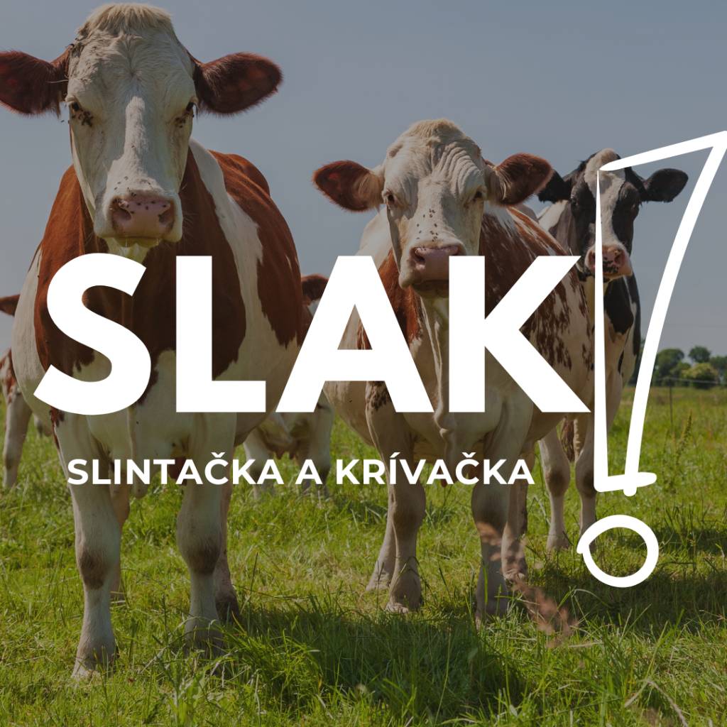 Dôležité informácie o opatreniach v súvislosti s epidémiou slintačky a krívačky (SLAK).
