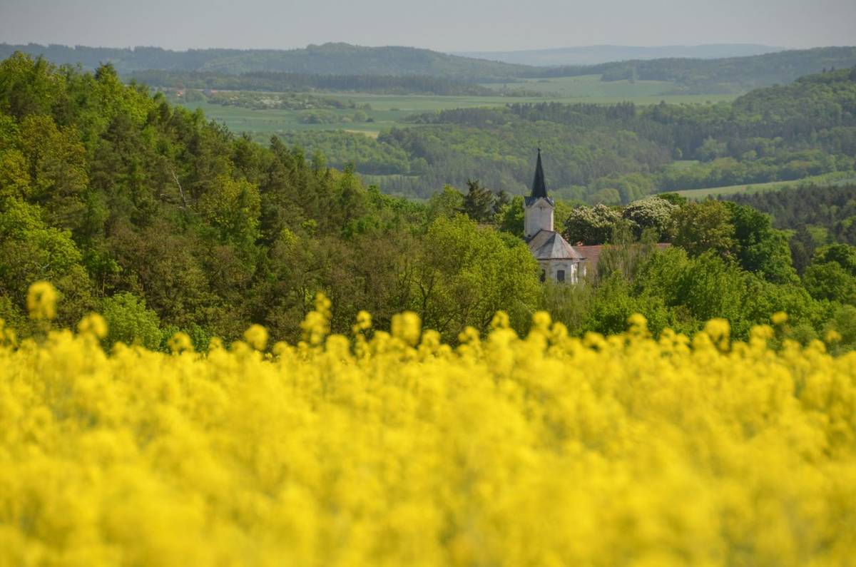 Fotografie focené v roce 2018