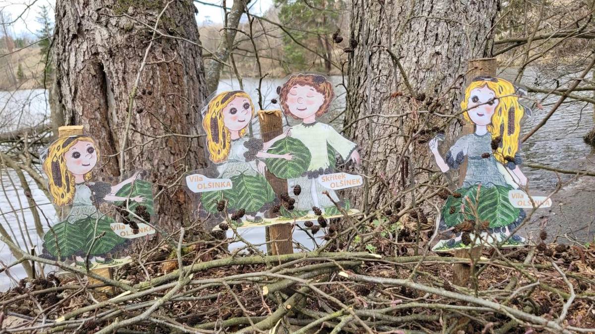 SKŘÍTCI STROMÁČCI rybníka Podkova nám roste opravdu hodně olší a tak se nemůžeme divit, že nám tam bydlí Olšinka a Olšánek. Ti si pro nás nachystali záludnou vědomostní výzvu. Představte si, že 2 odpovědi byly správné.  Většina z vás uhodla,  že semínka olše jsou ukrytá v nažkách, ale jen málokdo